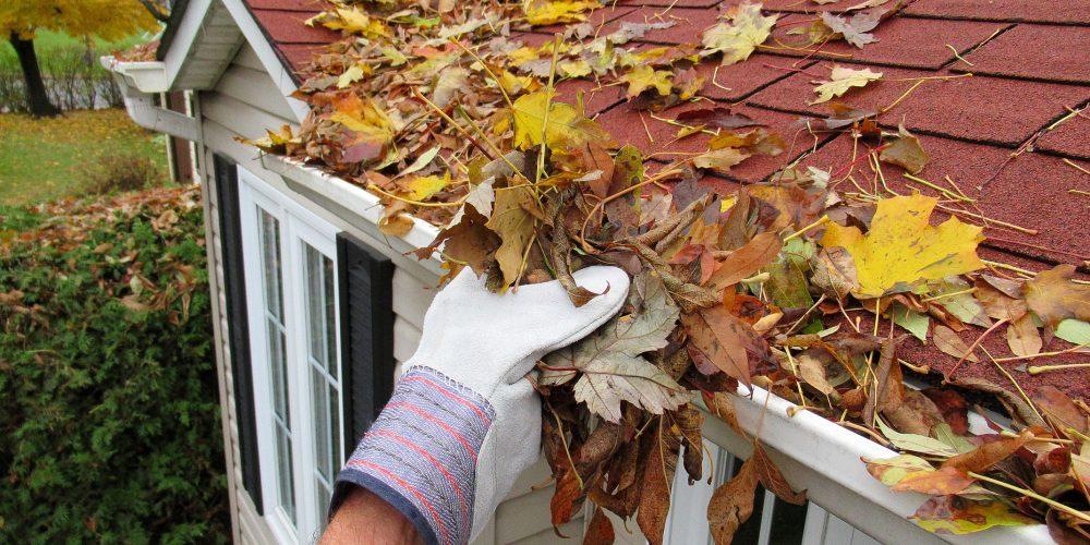 Nature... This Close up, shows some one cleaning leaves from a roof top gutter "